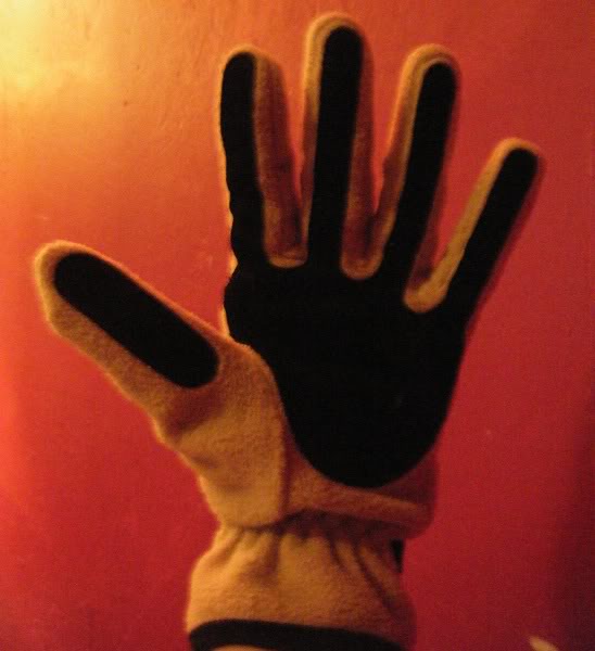 DSCF2256.jpg