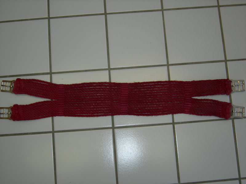DSCN1119.jpg