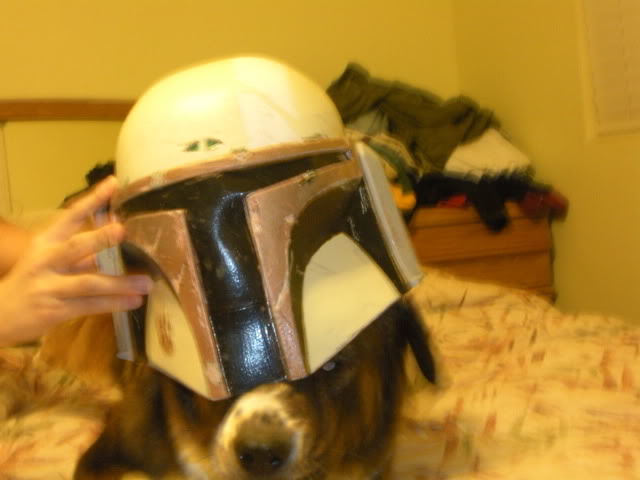 DSCN4645.jpg