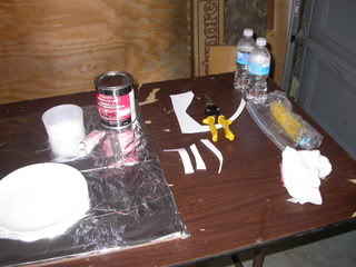 DSCN8548.jpg