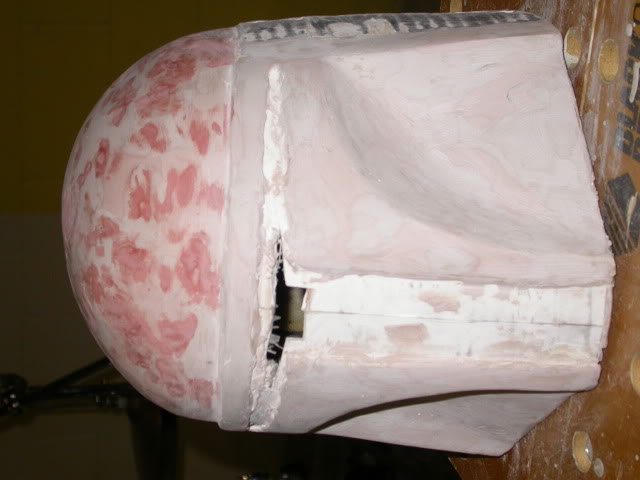DSCN8787.jpg