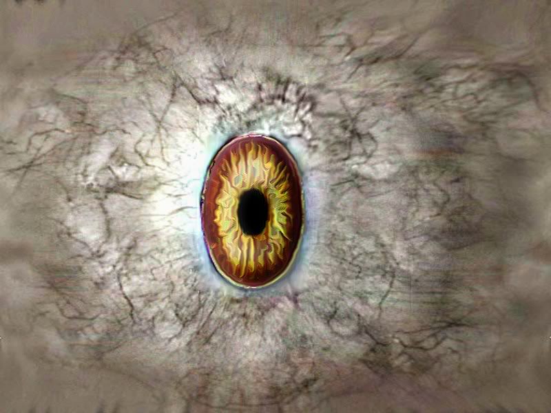 eye_ball.jpg
