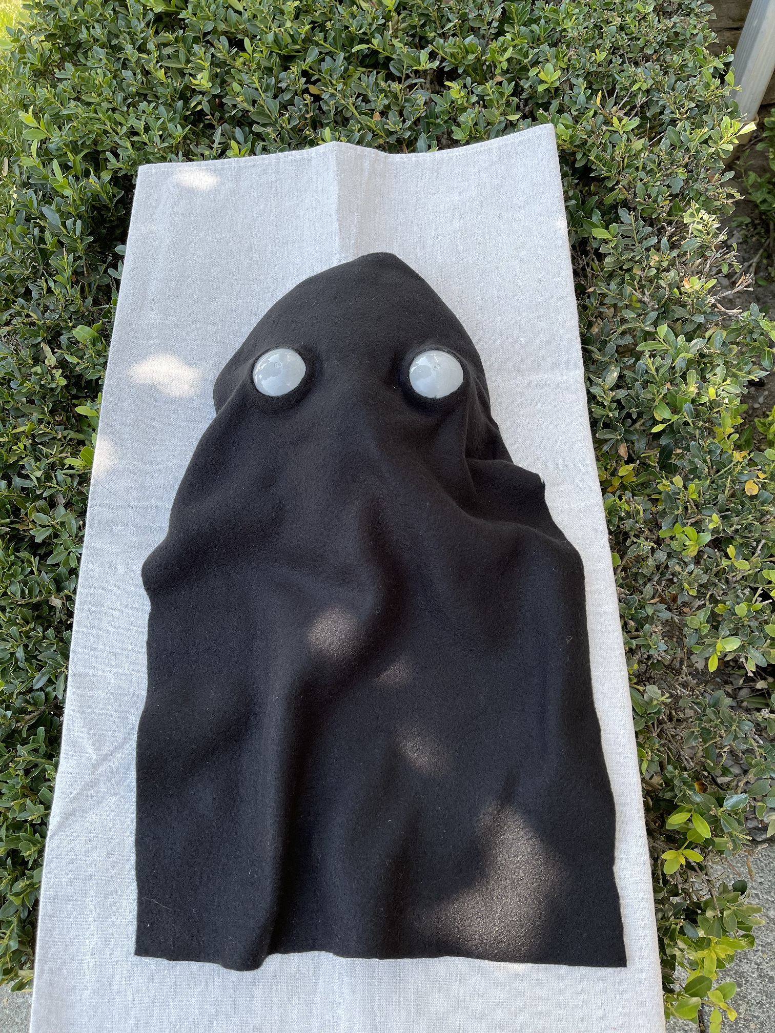 Face Mask.jpg
