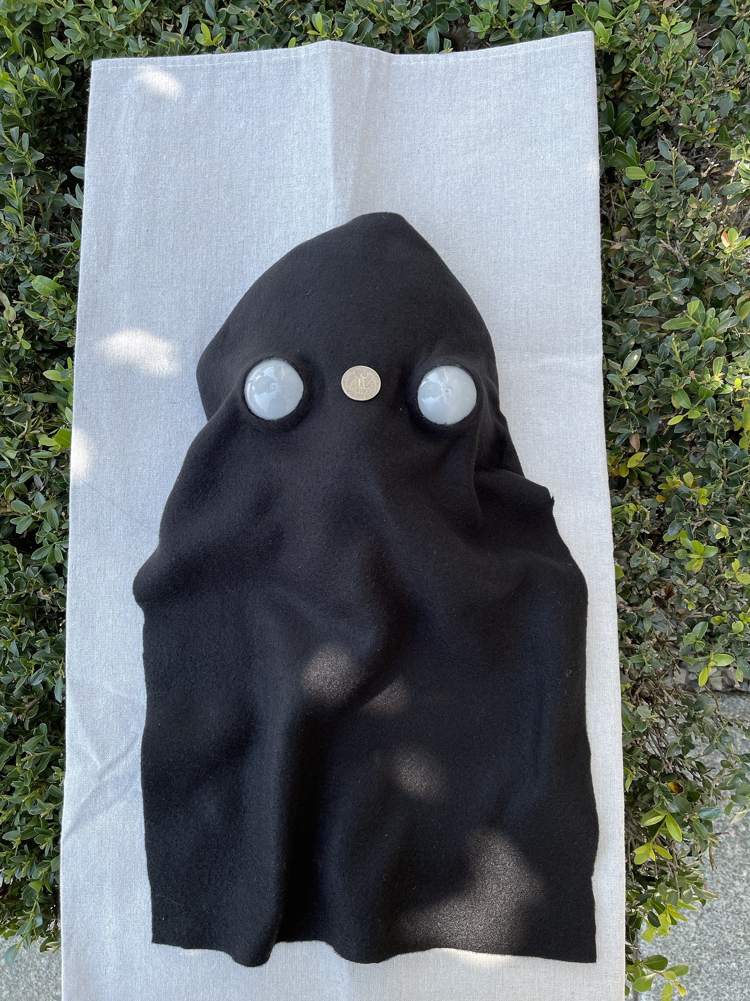Face Mask with Quarter for Comparison.jpg
