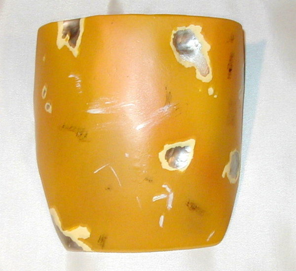 GatorShoulder02.jpg
