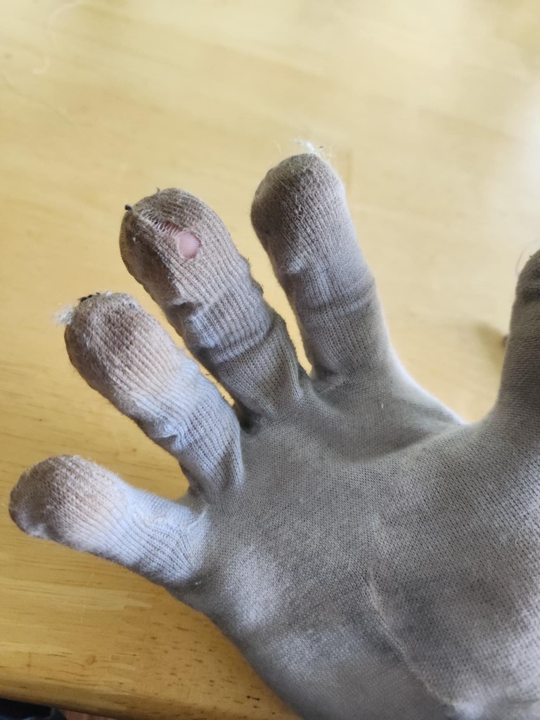 Glove 1.jpg