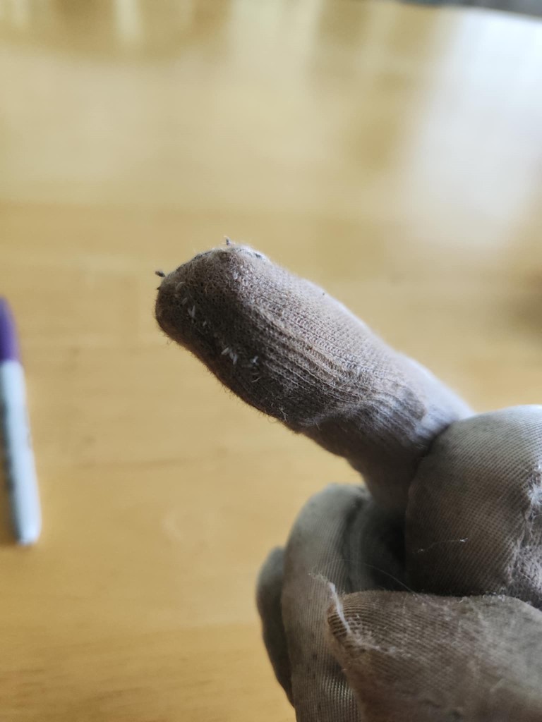 Glove 6.jpg