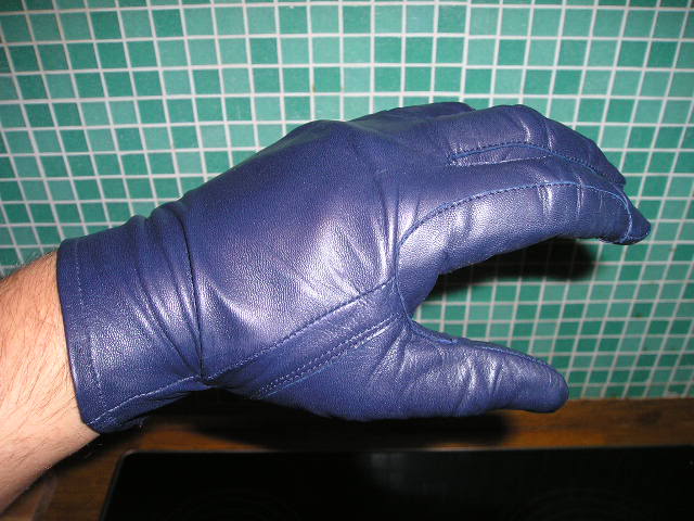 glove001.jpg