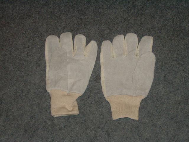 Gloves2.JPG