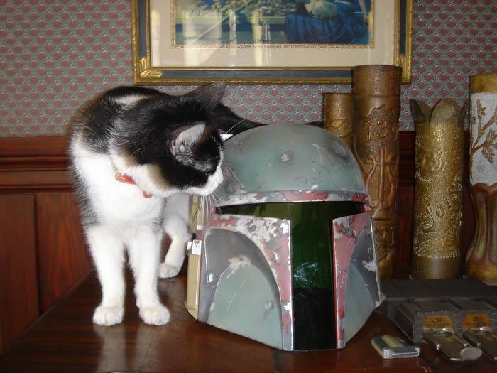 helmet3.jpg