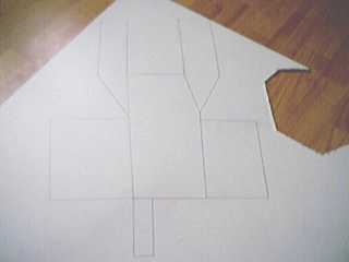 Holster P1.jpg