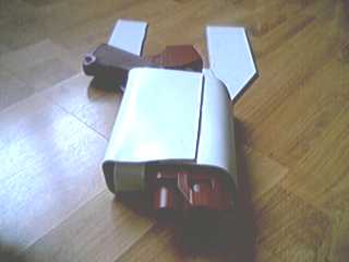 Holster P10.jpg
