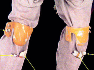 image-3120266918.png