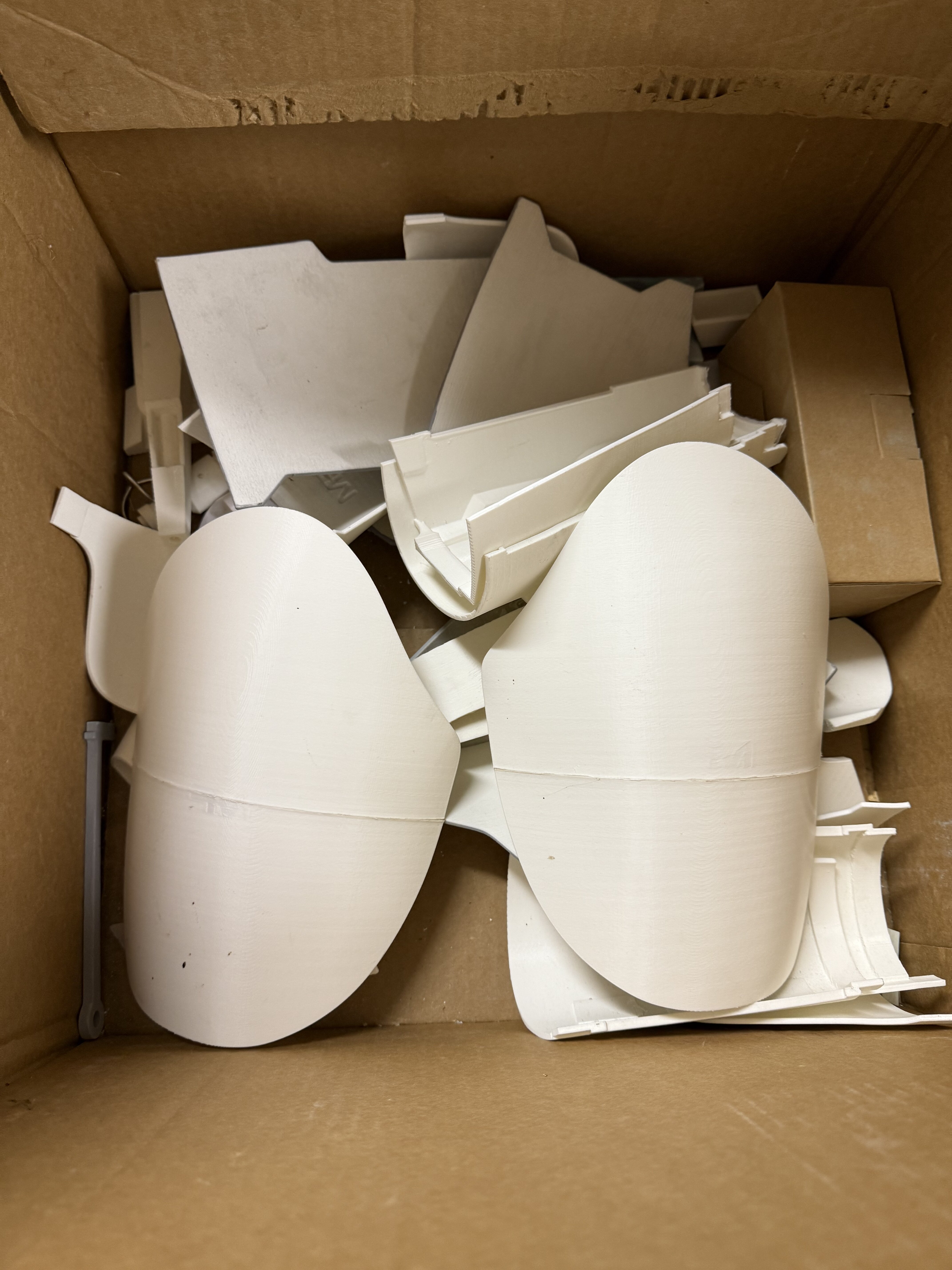 IMG_1016.jpeg IMG_1016.jpeg