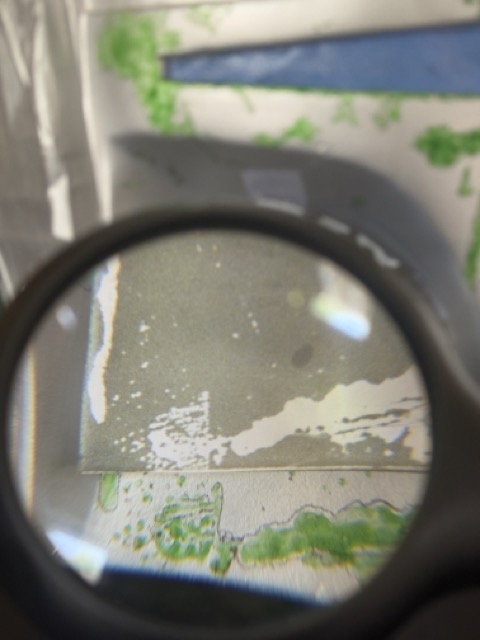 IMG_2530 Medium.jpeg