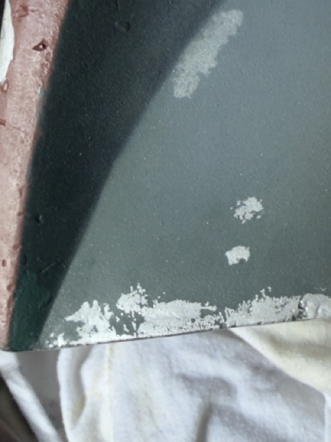 IMG_2913 Medium.jpeg