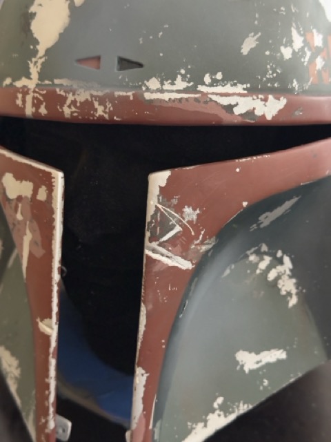 IMG_3401 Medium.jpeg