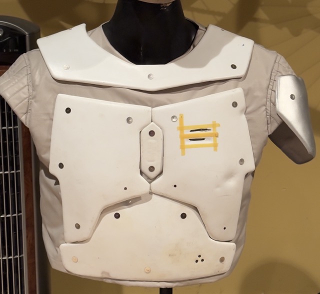 IMG_4781 Medium.jpeg