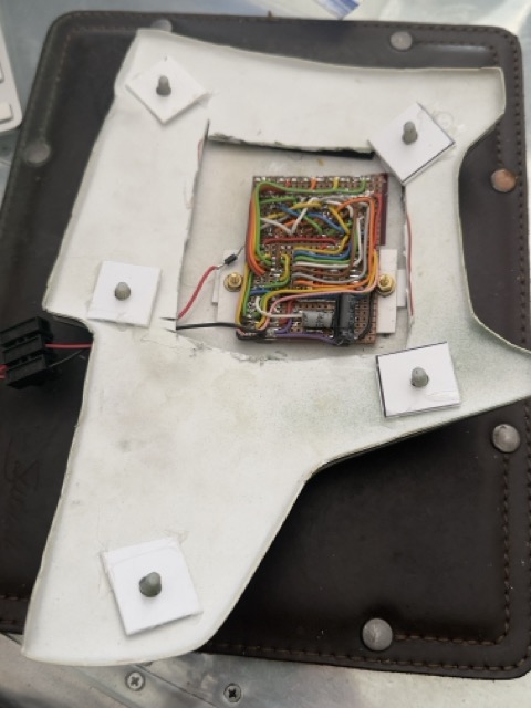 IMG_4807 Medium.jpeg