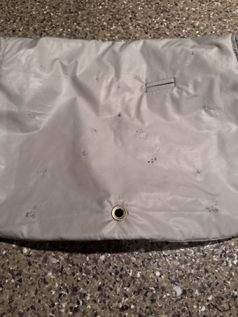 IMG_4844 Medium.jpeg