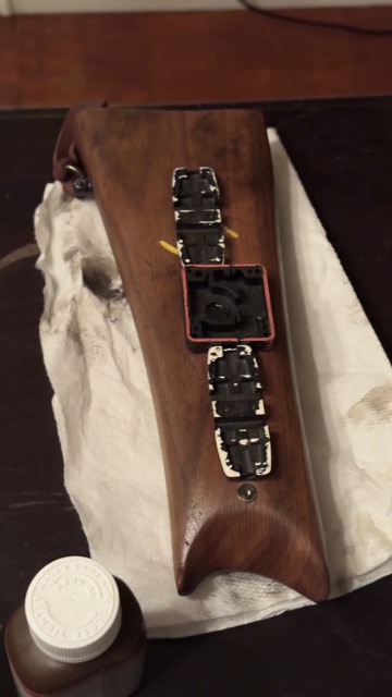 IMG_5150 Medium.jpeg