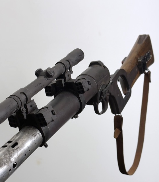 IMG_5200 Medium.jpeg