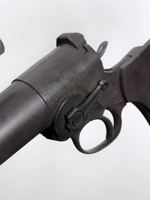 IMG_5201 Medium.jpeg