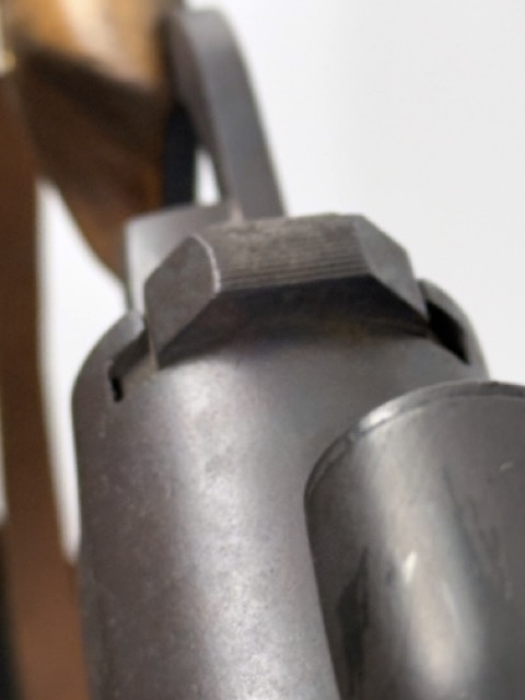 IMG_5229 Medium.jpeg