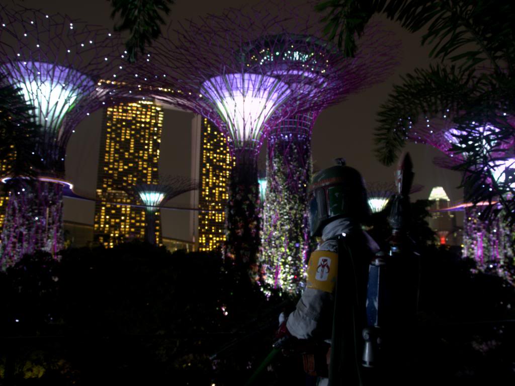 IMGP3388DNG_zps84745ee8.jpg