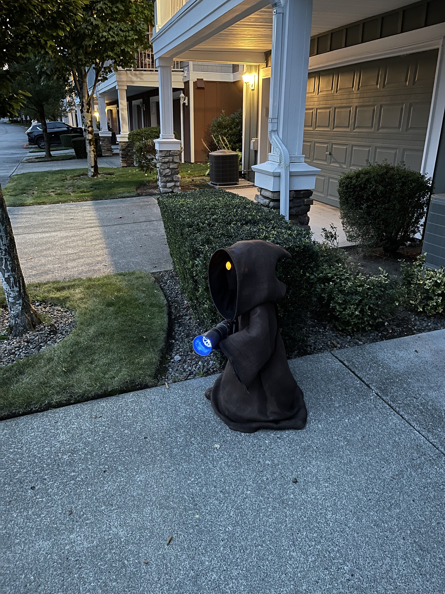 Jawa Pic 6.jpg