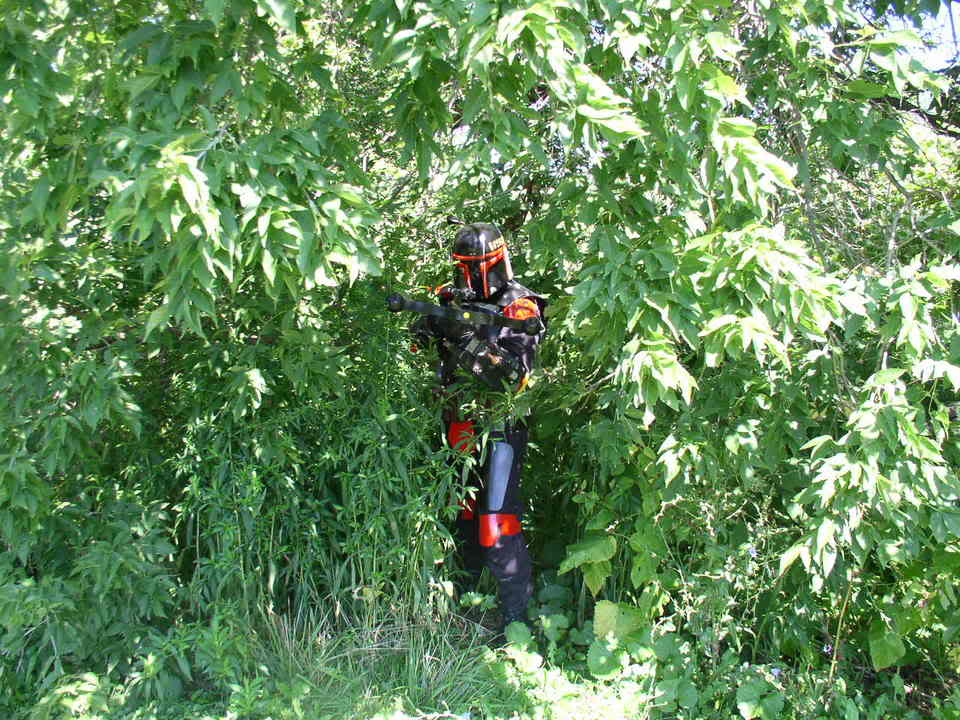 Junglefett1.jpg