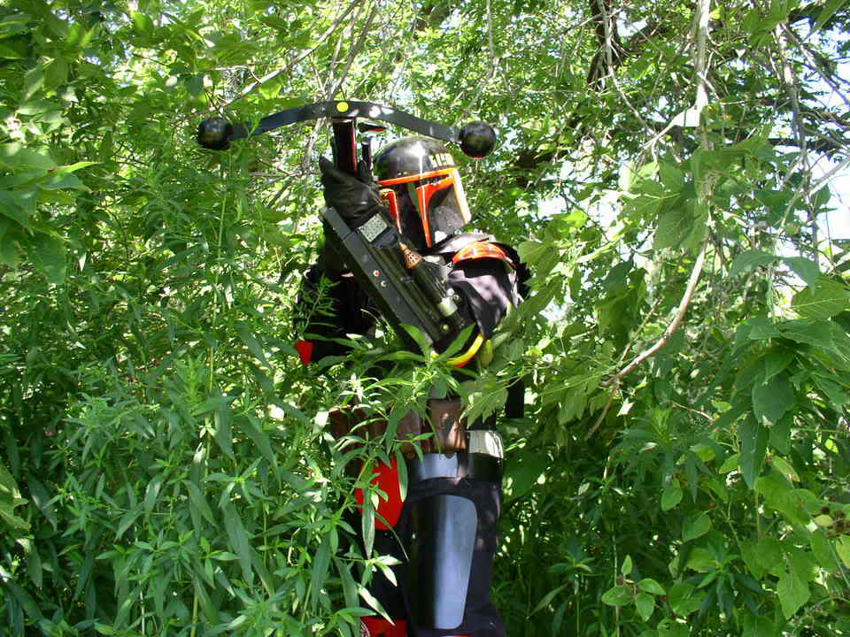 Junglefett2.jpg