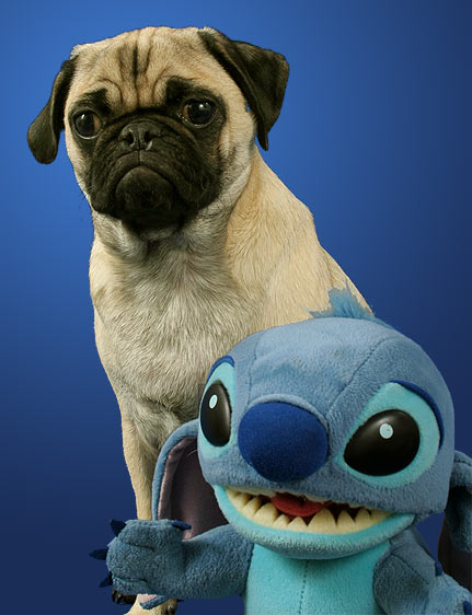 lilo.jpg