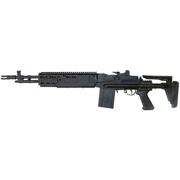 M14EBR.jpg