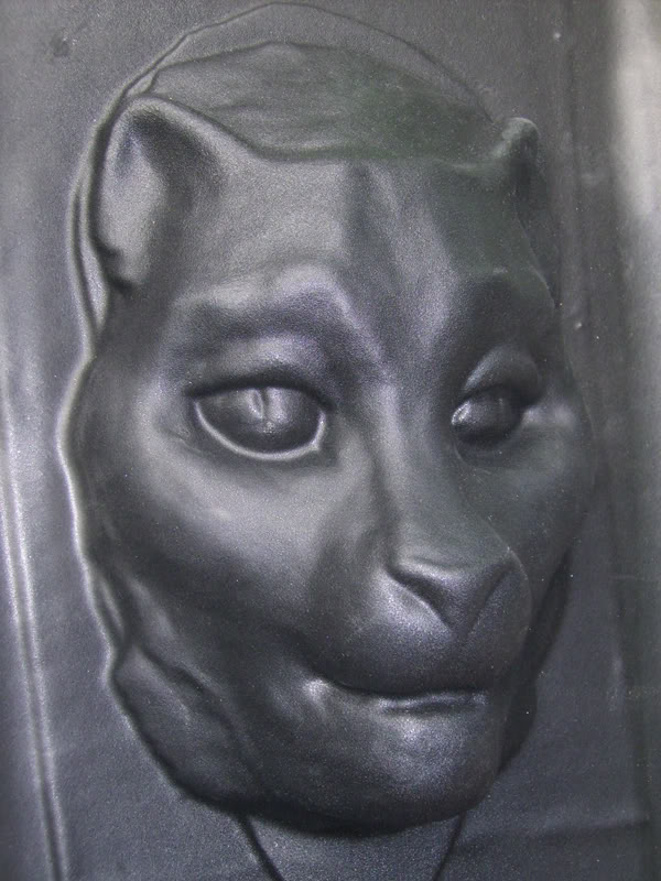 mandacatcloseblack0013web.jpg