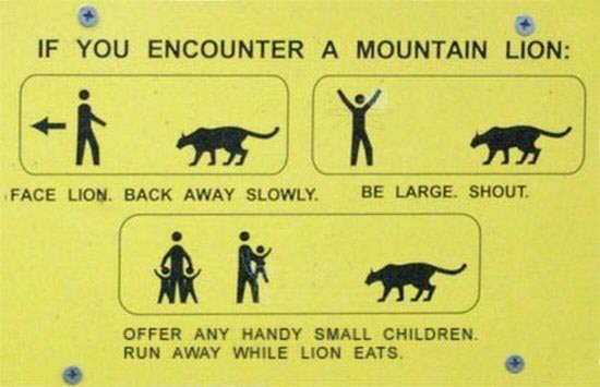 Mountain_Lion_Encounter.jpg