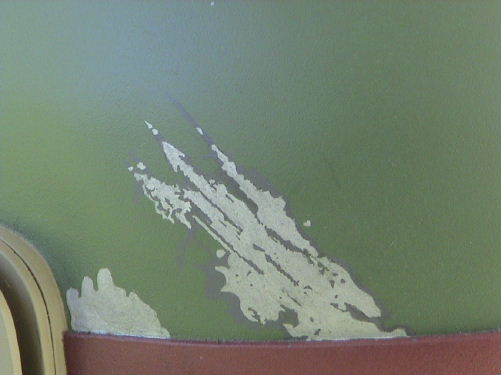 MSH Catscratch.jpg