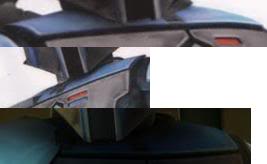 Neck.jpg