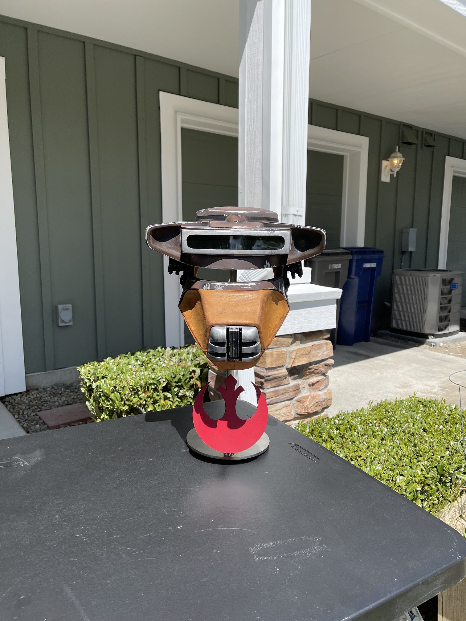 New Paint with Helmet.jpg