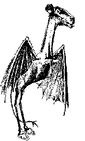 Nj_devil_notgreyscale.png