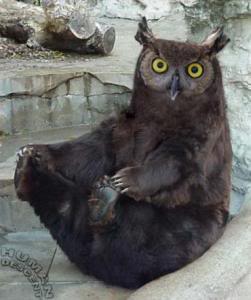 Owlbear.jpg