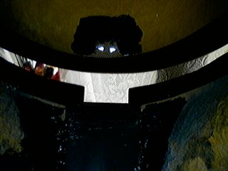 P02-28-07_14.09.jpg