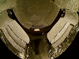 P03-04-07_14.15.jpg