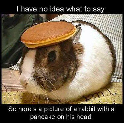PancakeRabbit.jpg