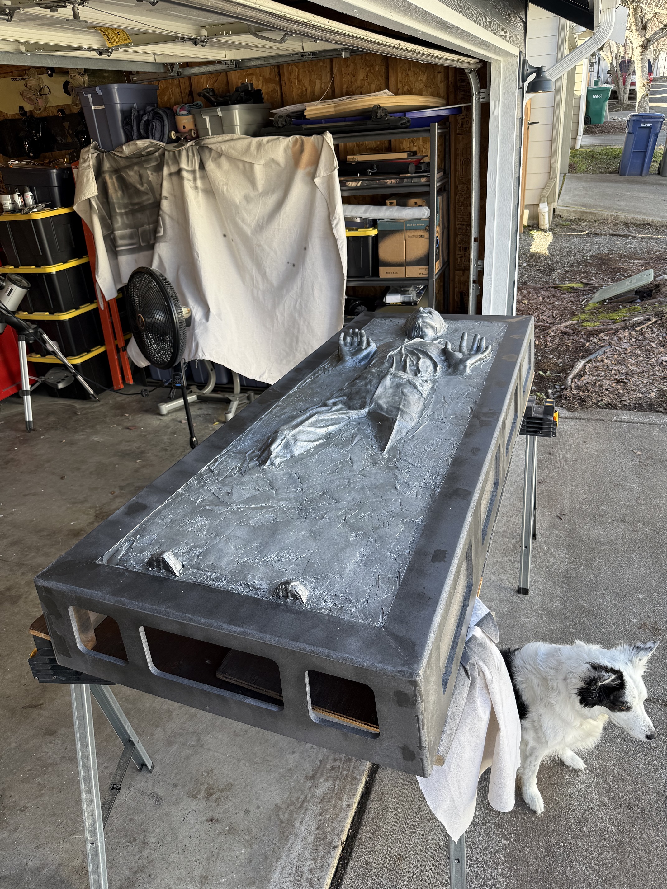 Photo Feb 27 2025, 1 59 16 PM.jpg