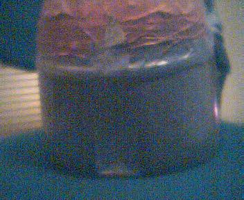 Picture 078.jpg