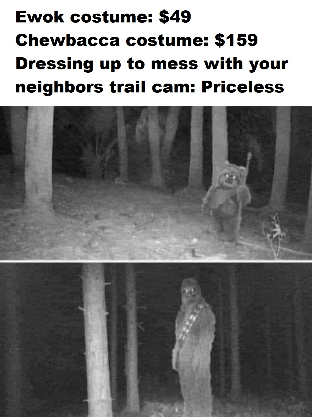 Priceless.jpg