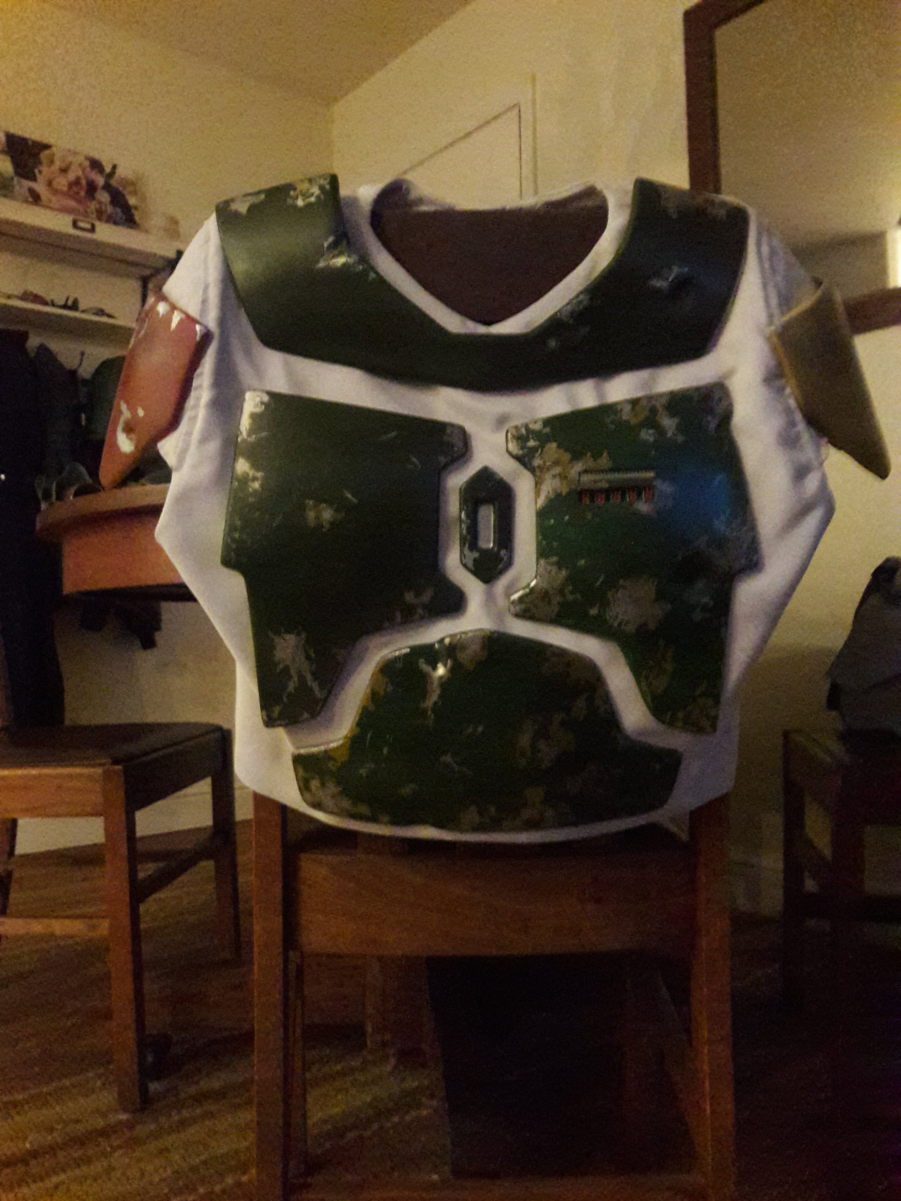 ProArmor1.jpg