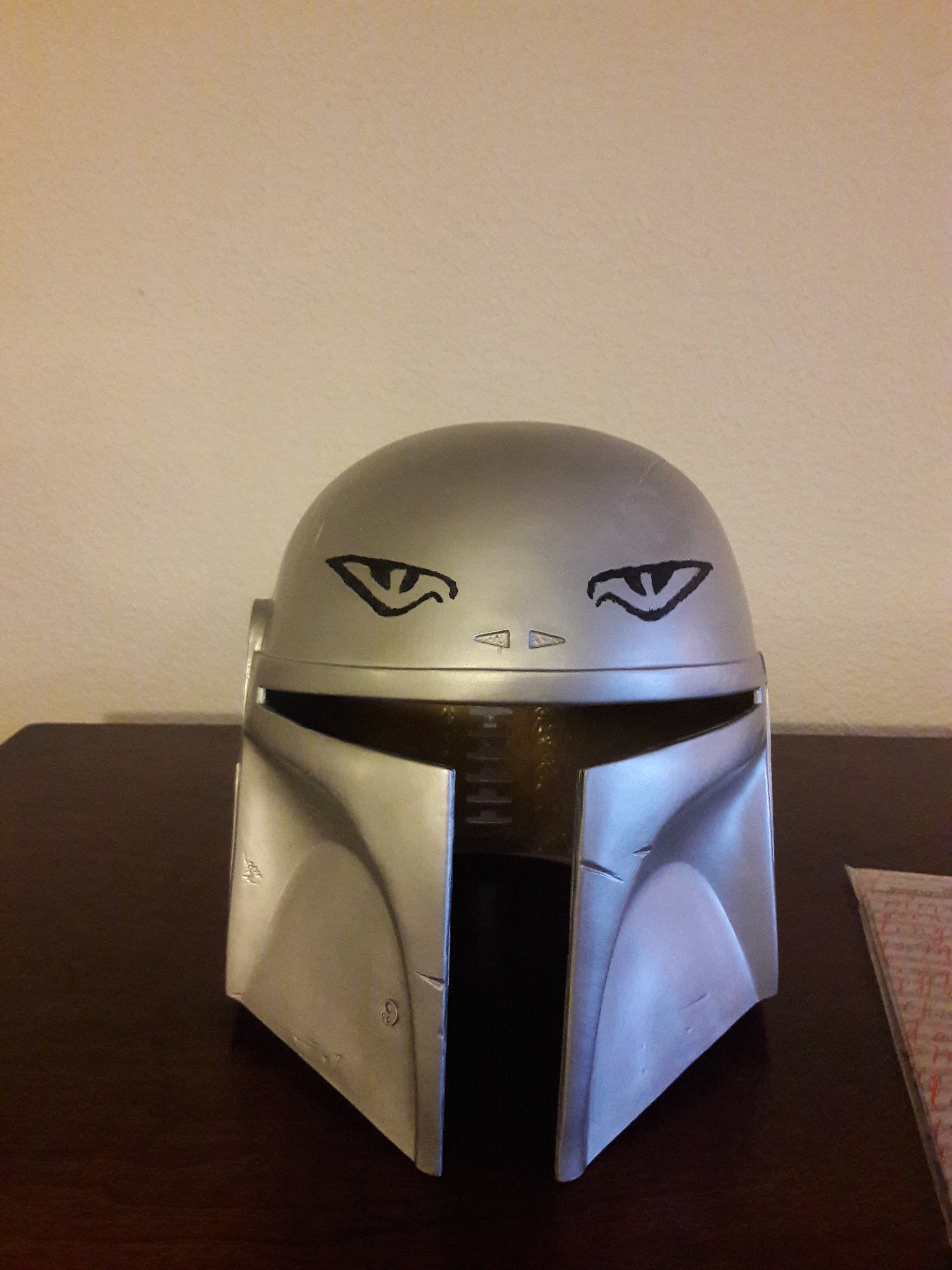 ProHelm5.jpg