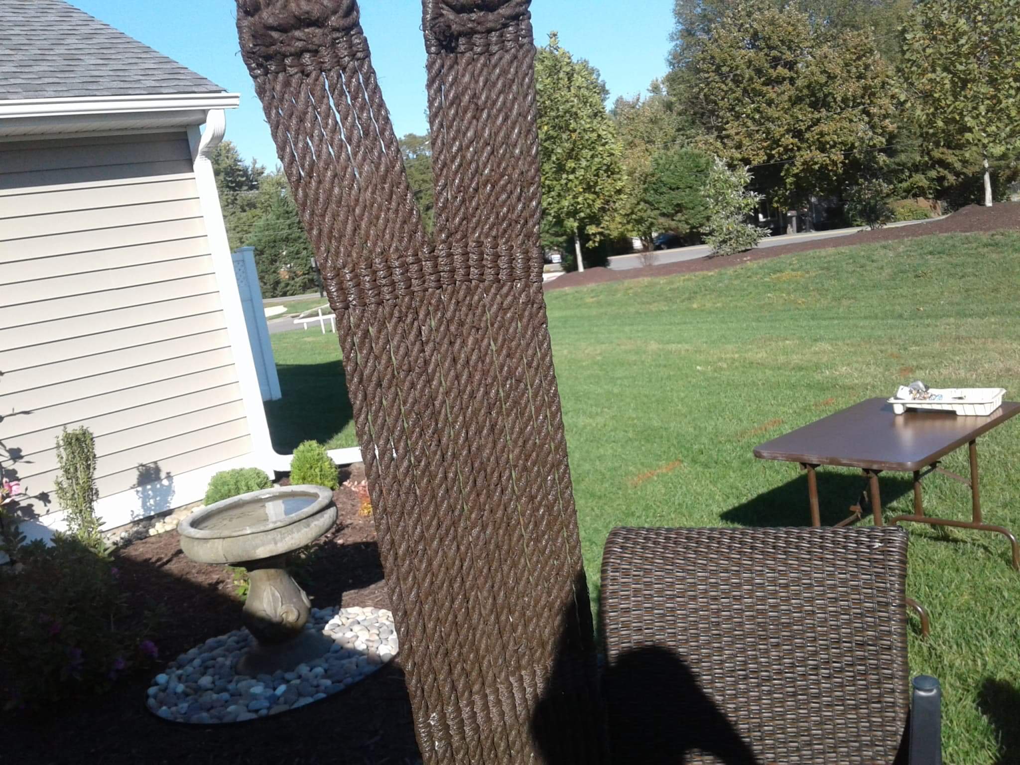 received_1911284242351789.jpeg